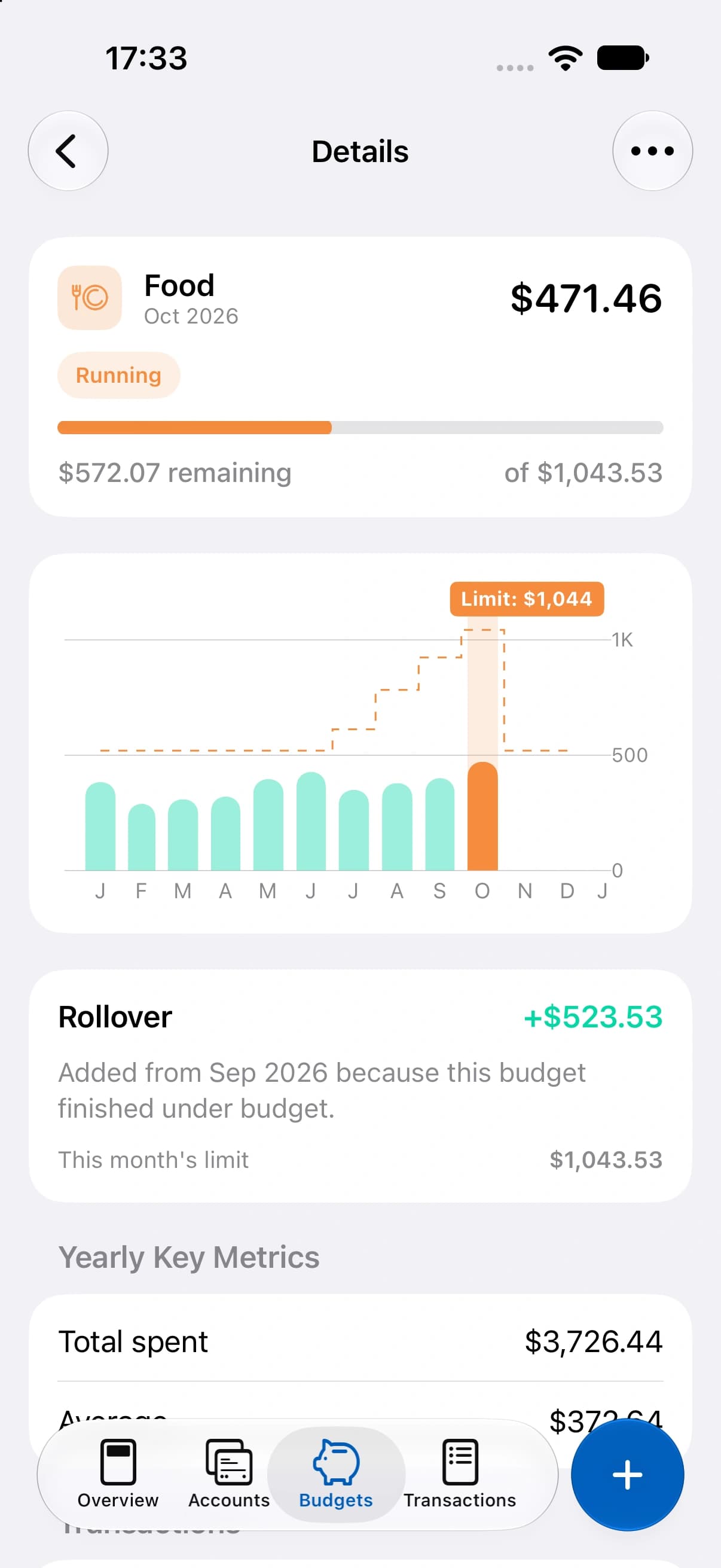 MoneyCoach running Category Budget details screen