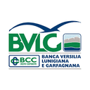 Banca Versilia Lunigiana E Garfagnana logo