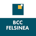 Bcc Felsinea BCC Dal 1902 logo