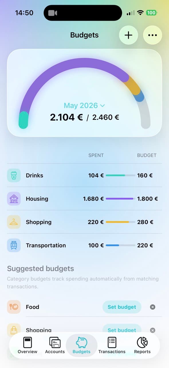MoneyCoach Category Budgets overview